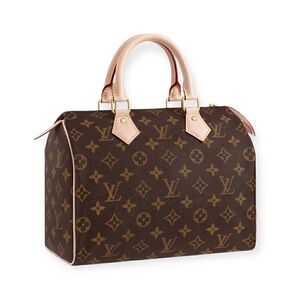 🔃Louis Vuitton Monogram Speedy 25